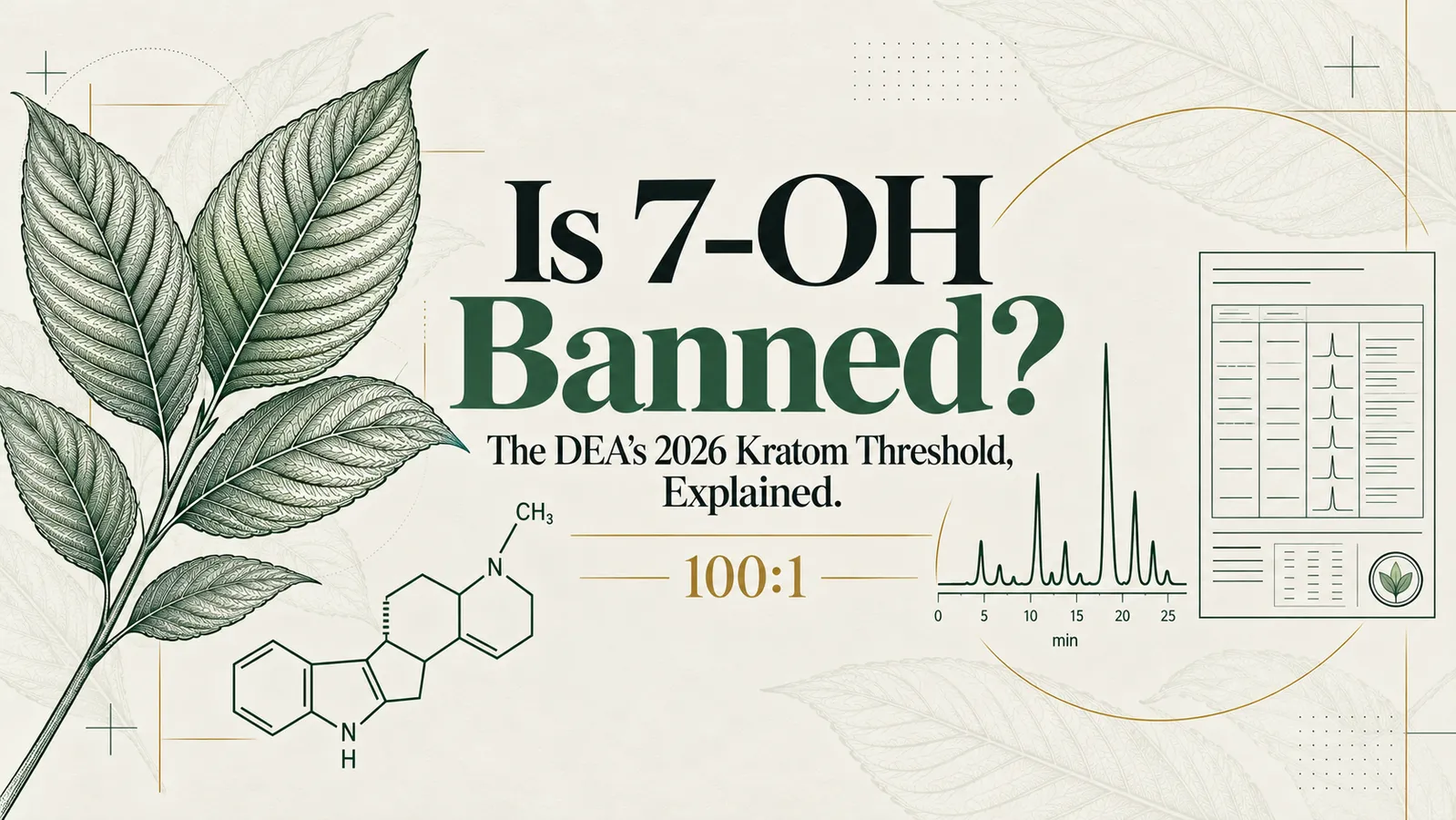 Is 7-OH banned? A kratom leaf, the mitragynine alkaloid structure, a chromatography trace, and a certificate of analysis illustrating the DEA's 2026 kratom threshold and the 100 to 1 mitragynine ratio.
